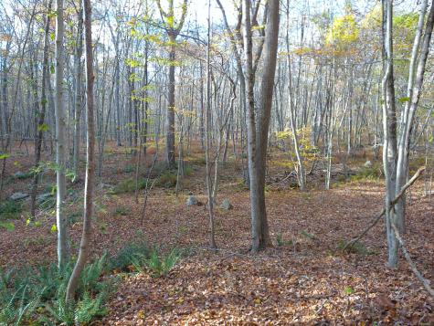 253 Clark Hill Road East Haddam CT 06423