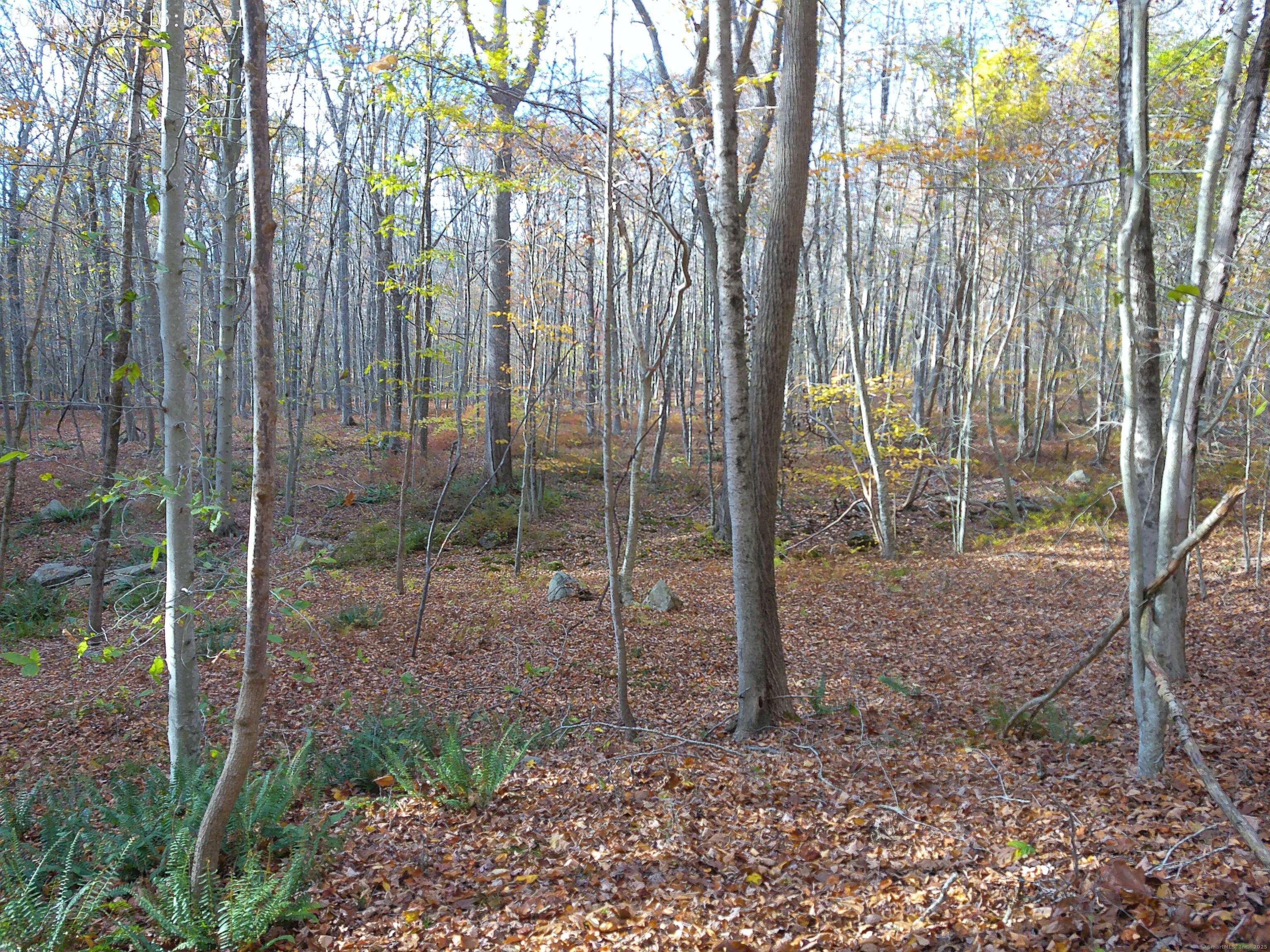 253 Clark Hill Road East Haddam CT 06423