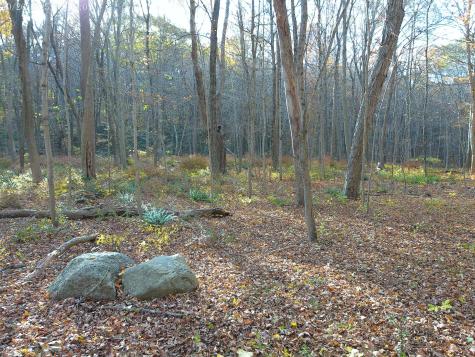 253 Clark Hill Road East Haddam CT 06423