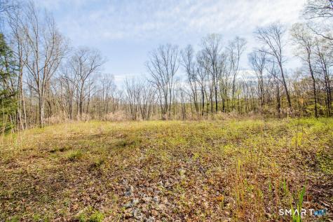 5 Brinsmade Lane Sherman CT 06784
