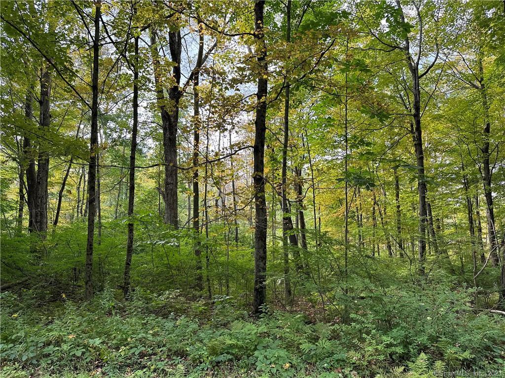 Lake Road Warren CT 06754