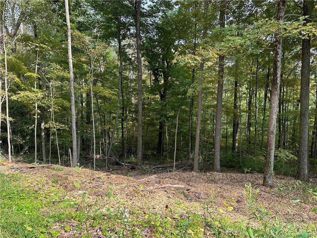 Lake Road Warren CT 06754