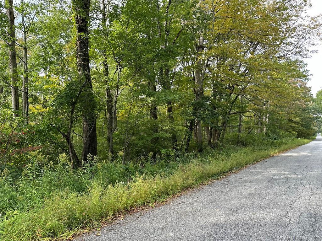 Lake Road Warren CT 06754