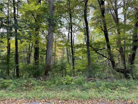 Lake Road Warren CT 06754