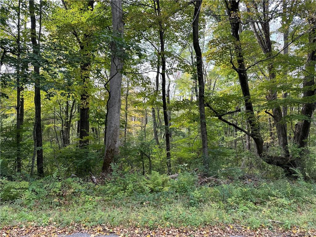 Lake Road Warren CT 06754
