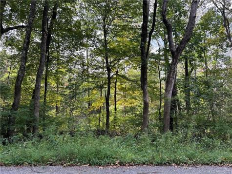 Lake Road Warren CT 06754