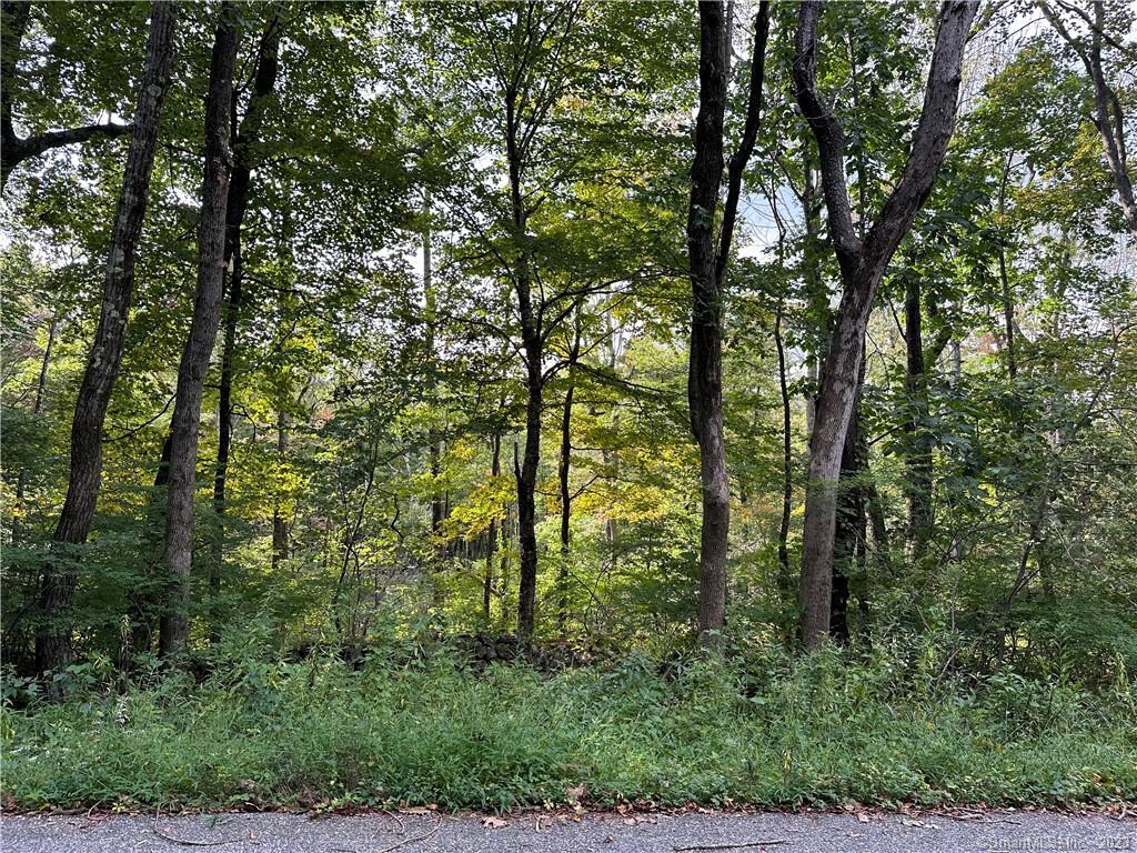 Lake Road Warren CT 06754