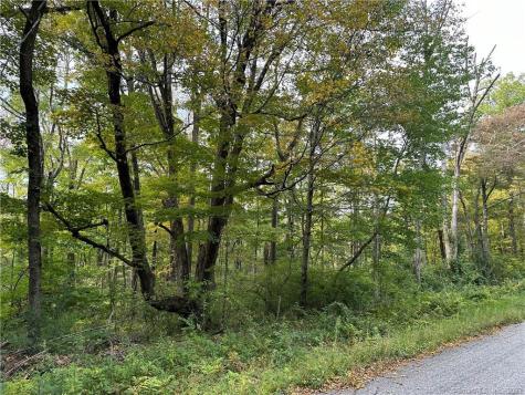 0 Lake Road Warren CT 06754