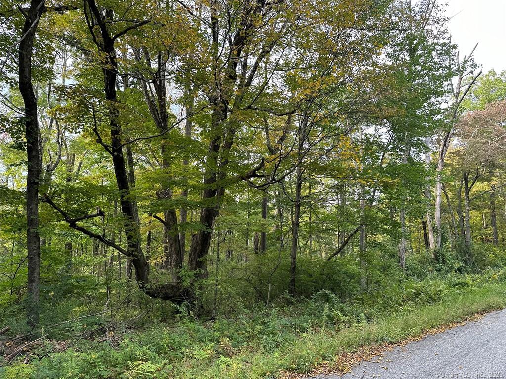 Lake Road Warren CT 06754
