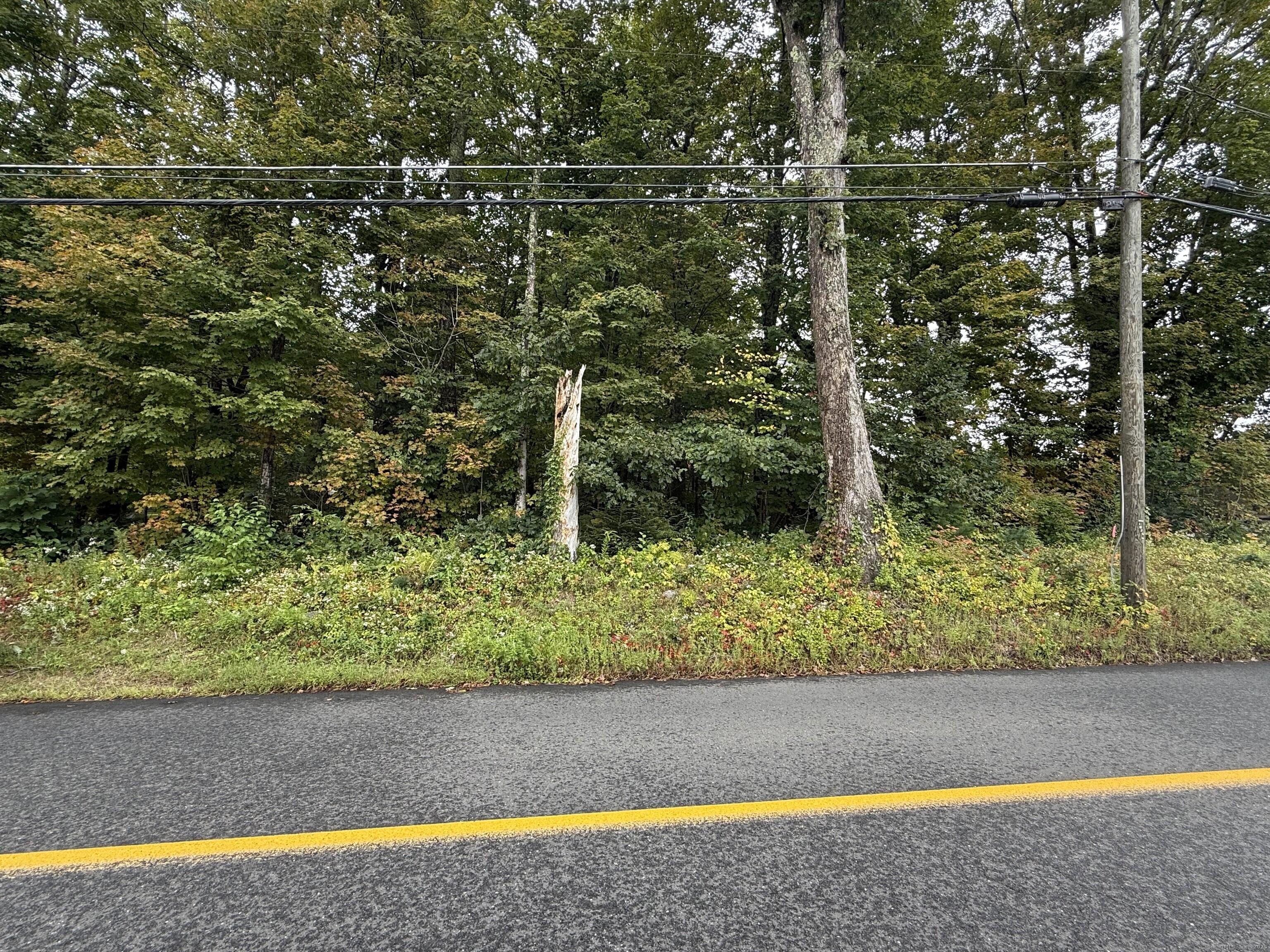 208 South Road New Hartford CT 06057
