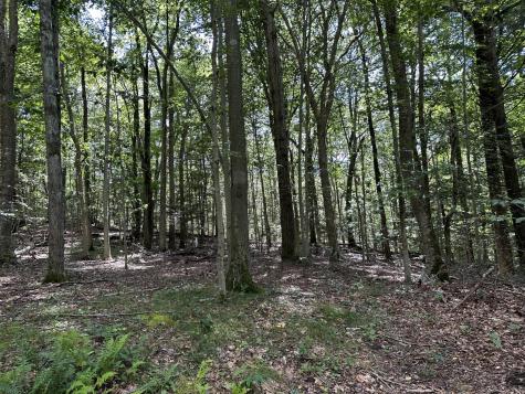 Lot #21 South Brook Drive Stamford CT 06904