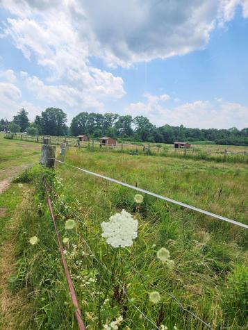 85 East Street East Granby CT 06026