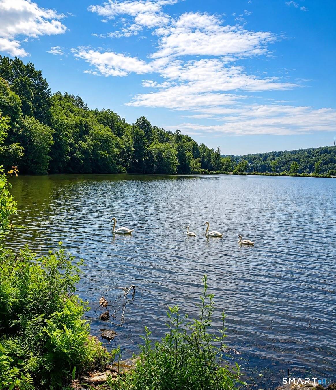 Holiday Hill Waterbury CT 06701