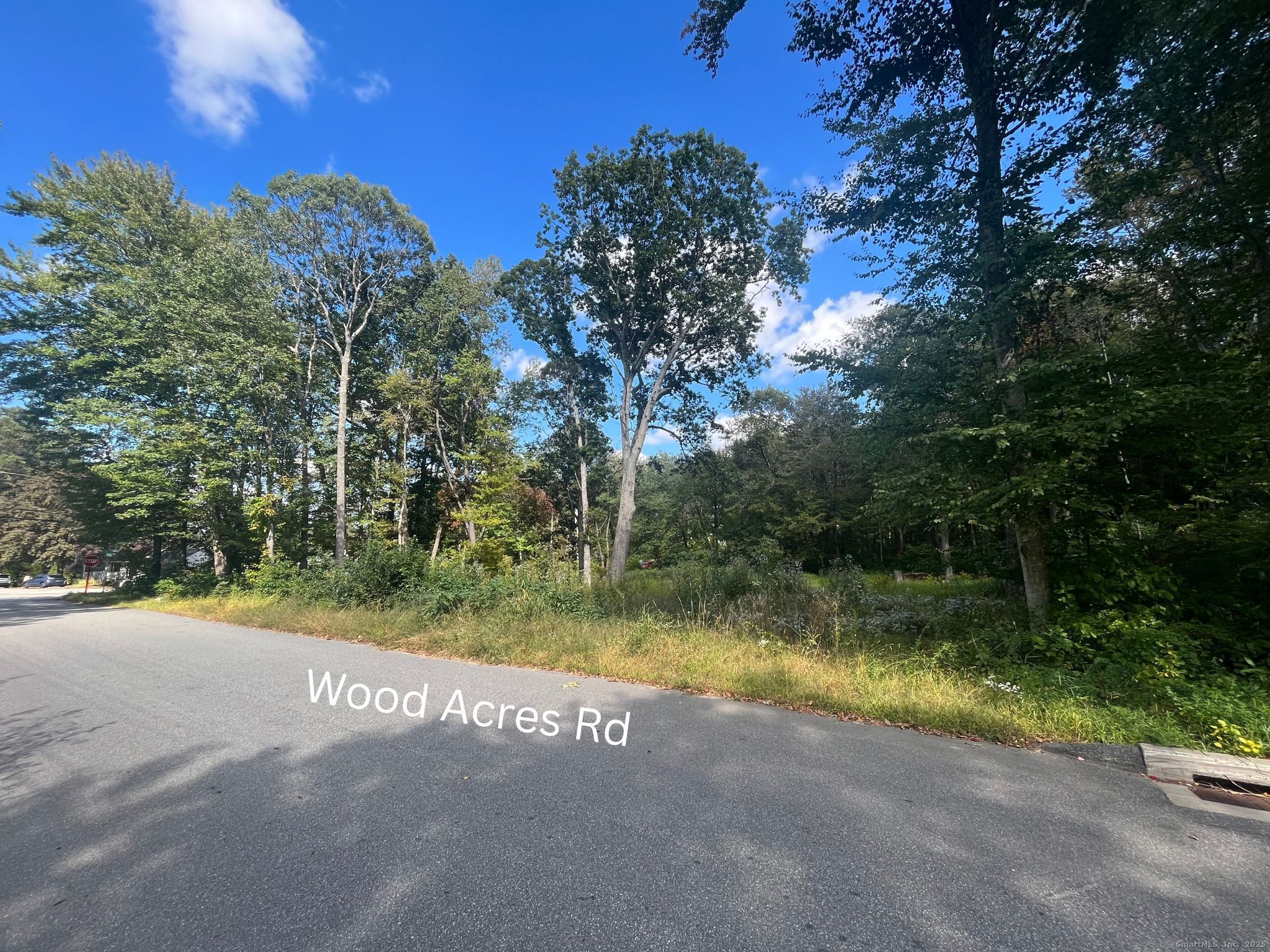 2 Lots on Deepwood Drive Hebron CT 06248