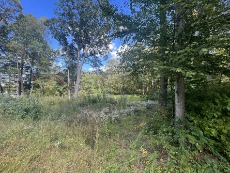 2 Lots on Deepwood Drive Hebron CT 06248