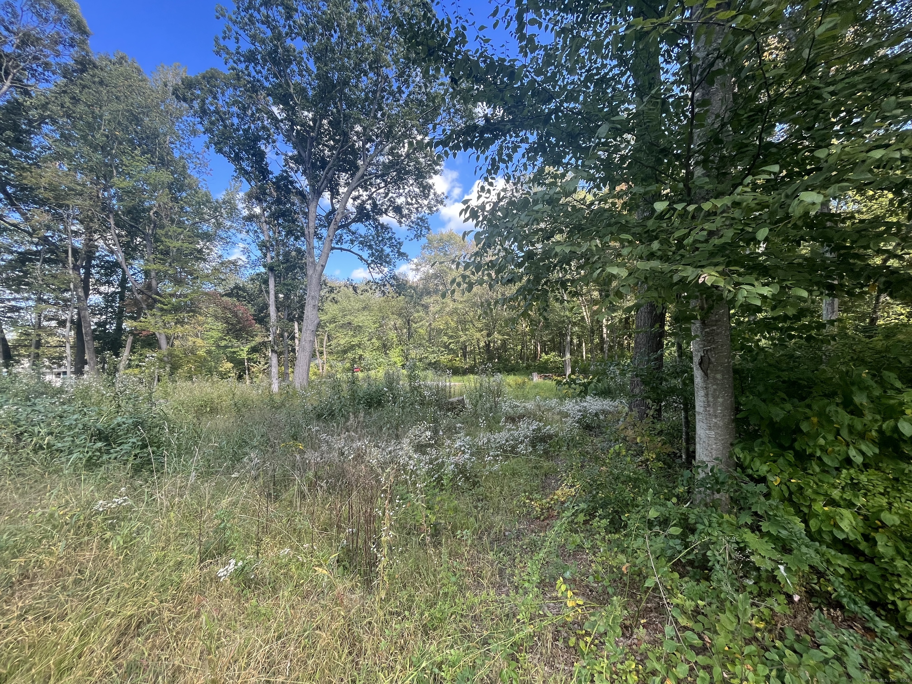 2 Lots on Deepwood Drive Hebron CT 06248