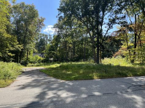 2 Lots on Deepwood Drive Hebron CT 06248
