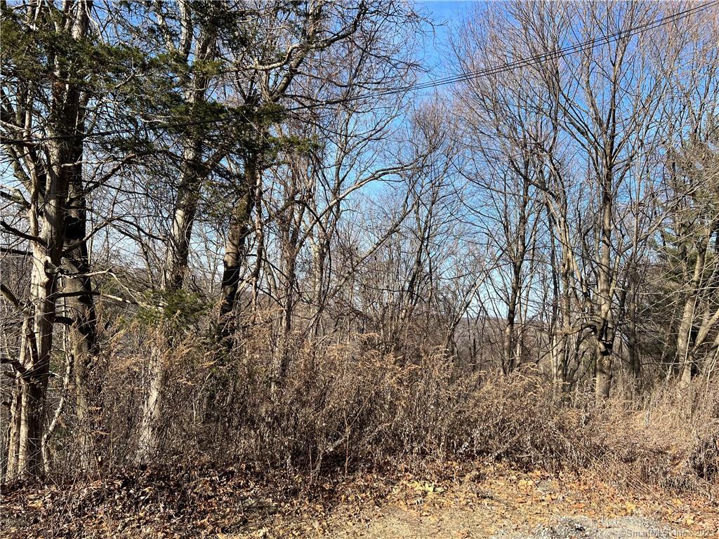 3 Mountain Road New Fairfield CT 06812