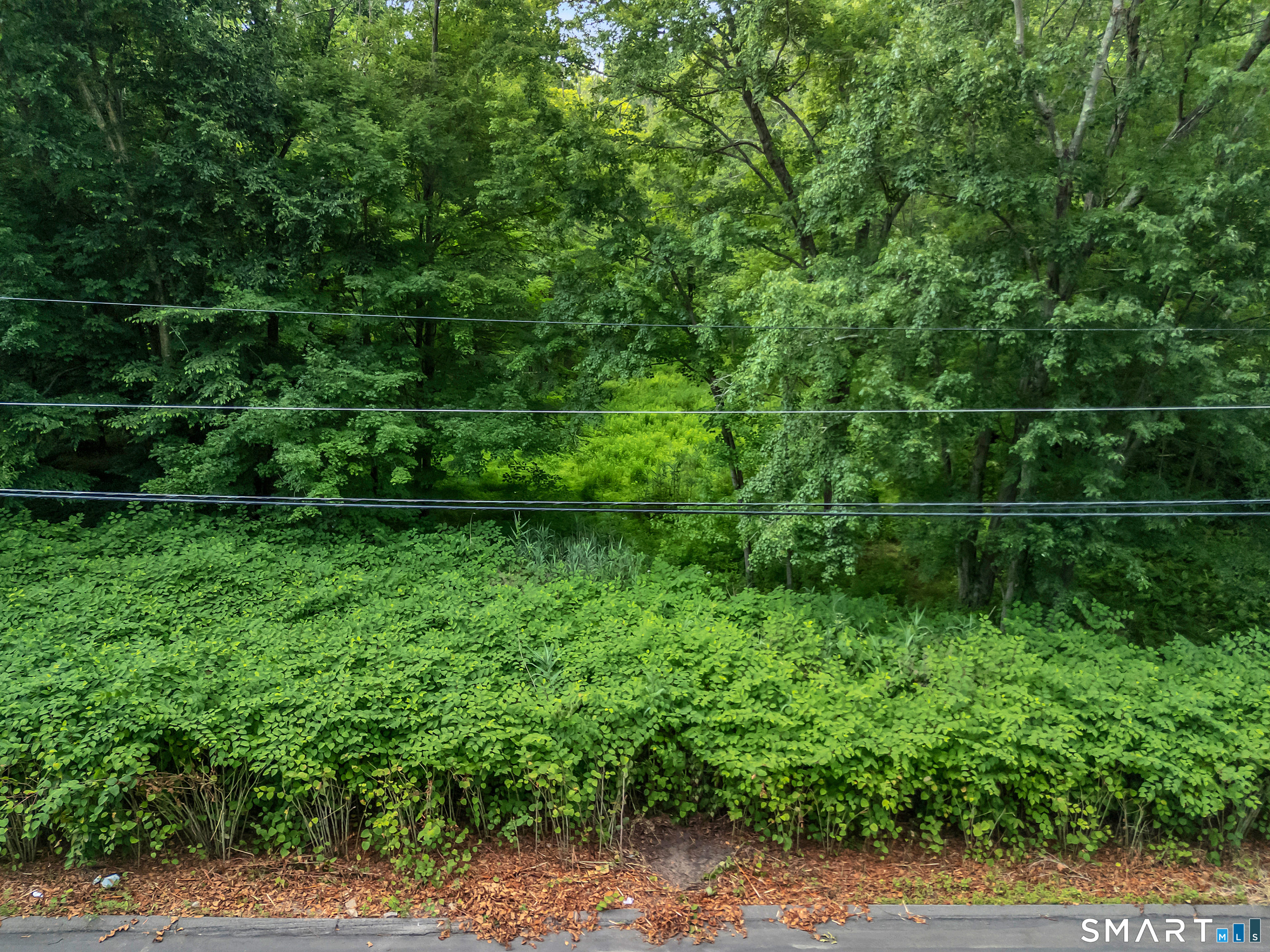 14 West Woodland Drive Redding CT 06896