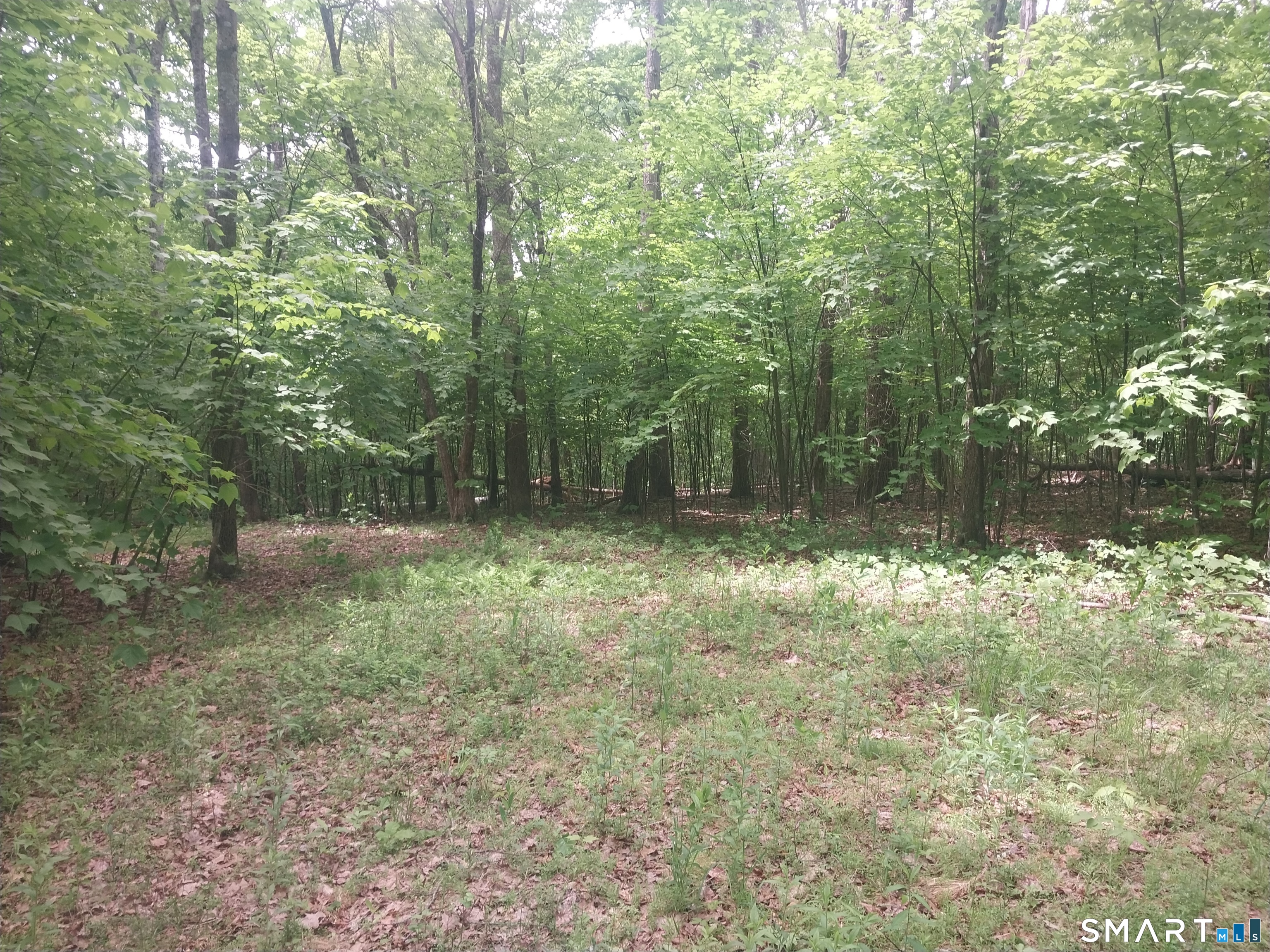 Mount Mauwee Road Kent CT 06757