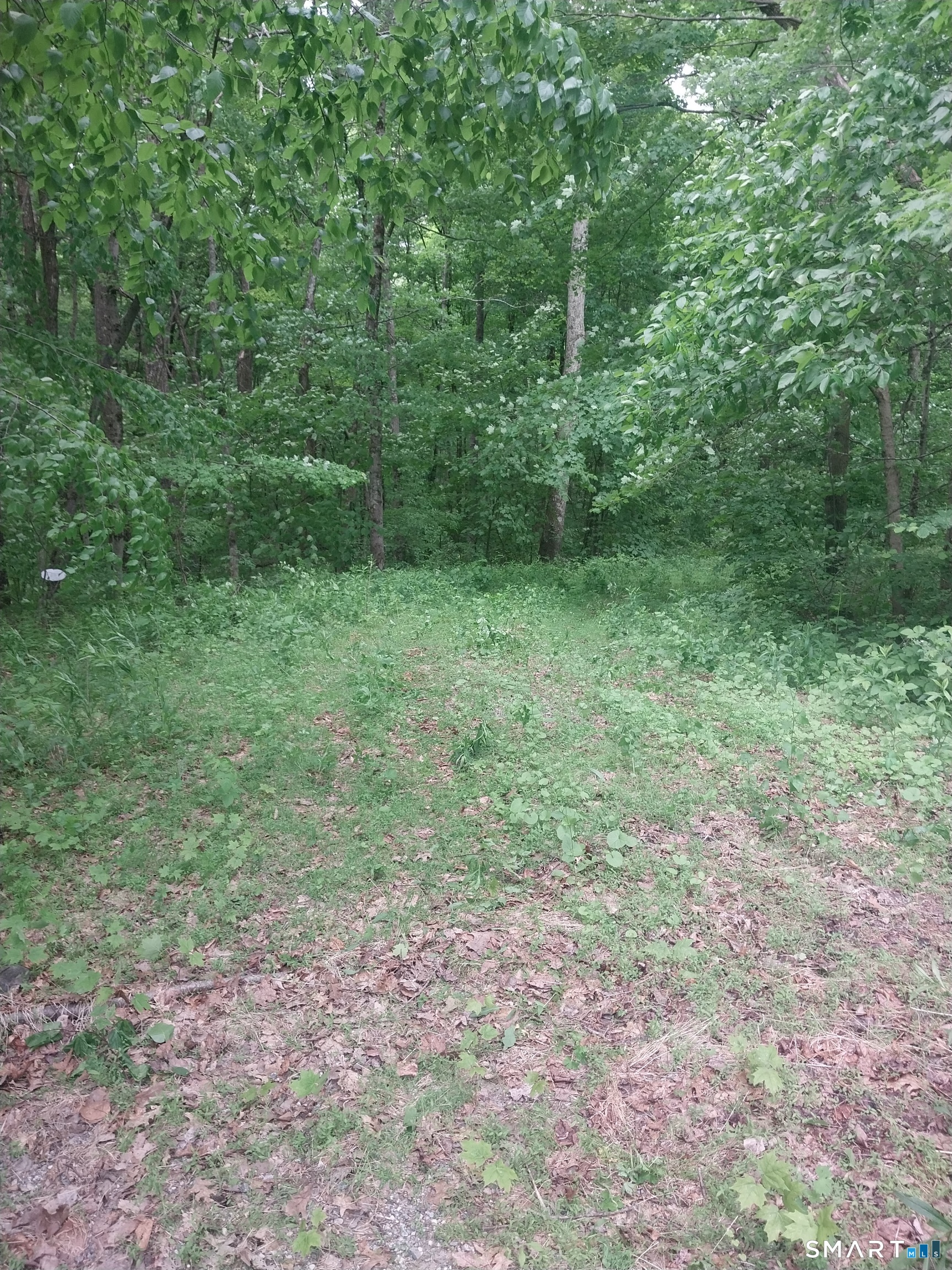 Mount Mauwee Road Kent CT 06757