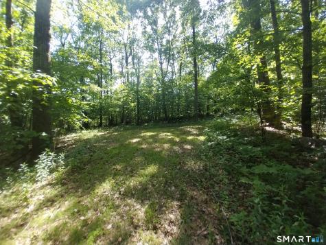 Mount Mauwee Road Kent CT 06757