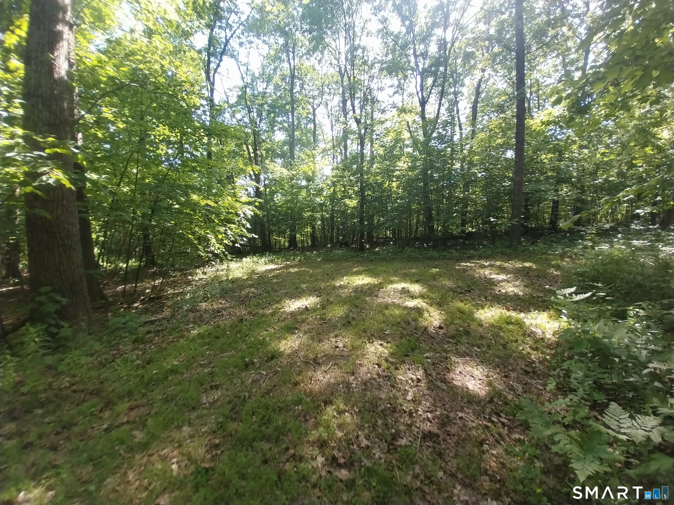Mount Mauwee Road Kent CT 06757