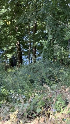 120 Lower Fish Rock Road Southbury CT 06488