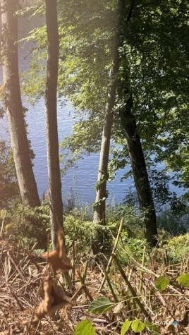 120 Lower Fish Rock Road Southbury CT 06488