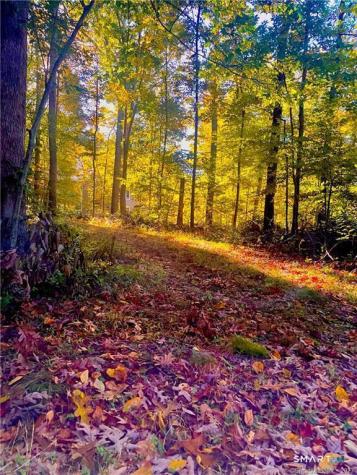 88-A Flat Rock Hill Road Old Lyme CT 06371