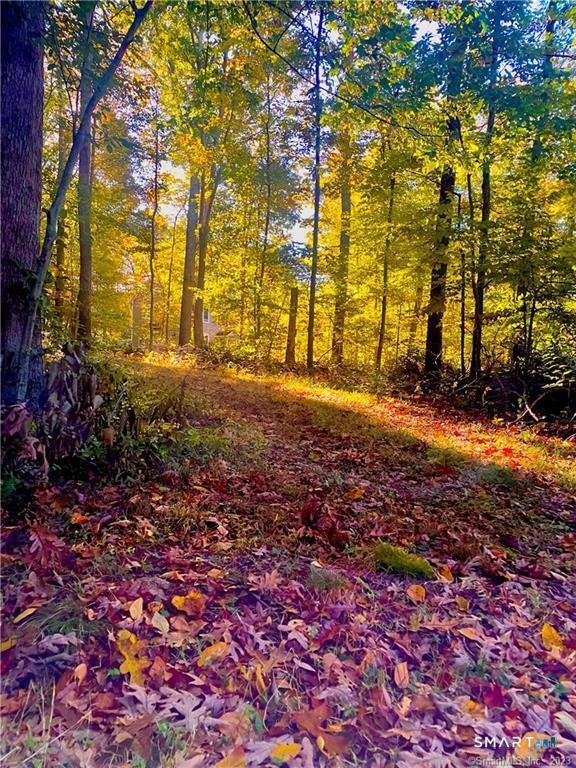 88-A Flat Rock Hill Road Old Lyme CT 06371