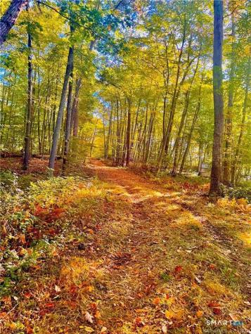 88-A Flat Rock Hill Road Old Lyme CT 06371