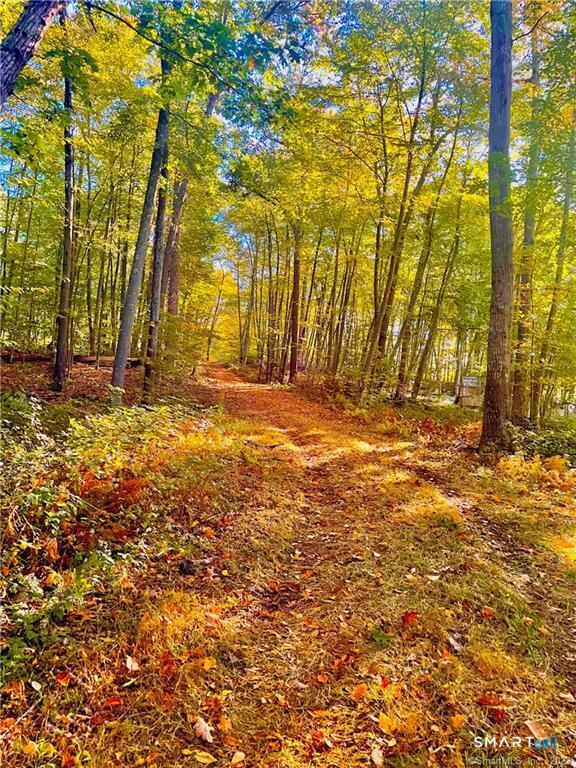 88-A Flat Rock Hill Road Old Lyme CT 06371