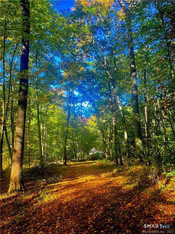 88-A Flat Rock Hill Road Old Lyme CT 06371