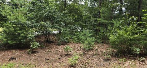 185 West Avon Road Avon CT 06001