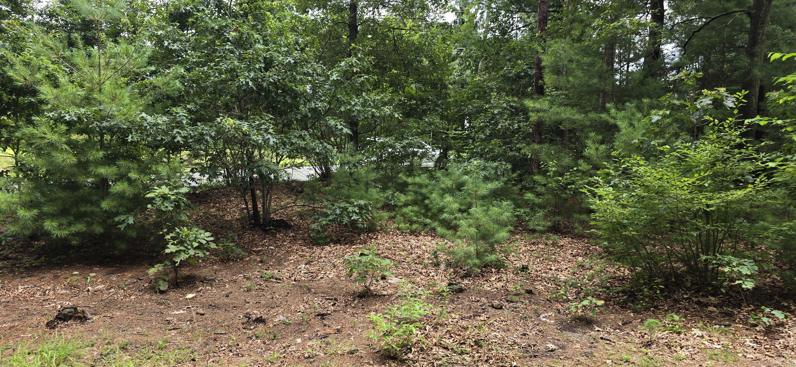 185 West Avon Road Avon CT 06001