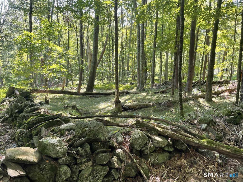 Kozey Road Eastford CT 06242