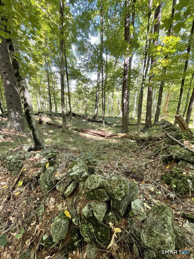 Kozey Road Eastford CT 06242