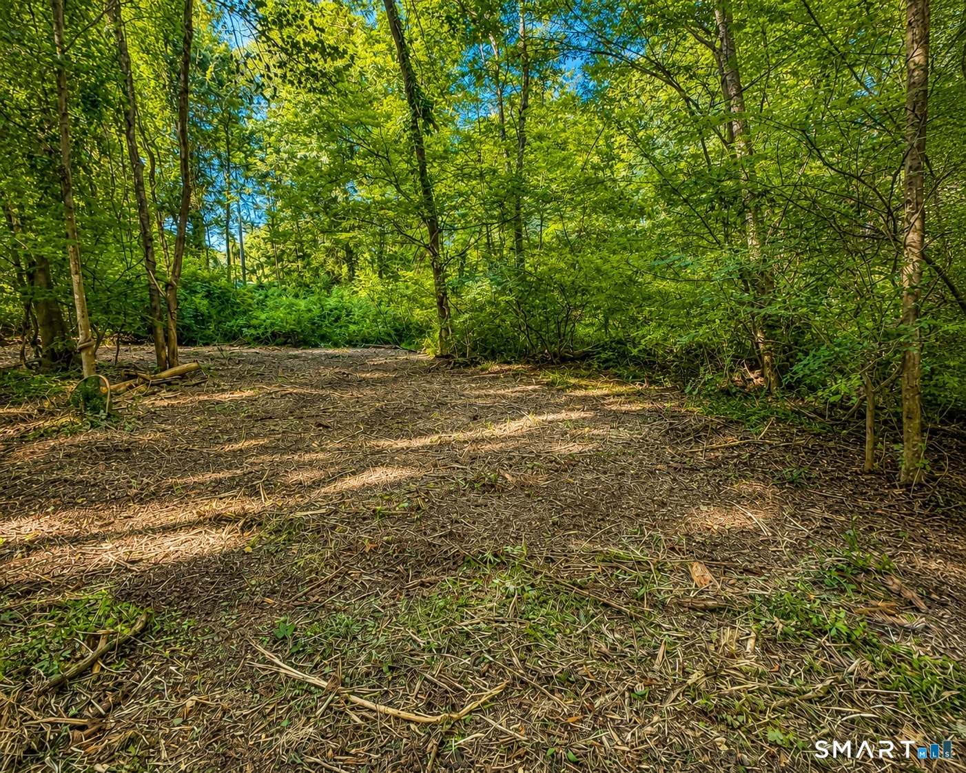 463 Mashamoquet Road Pomfret CT 06259