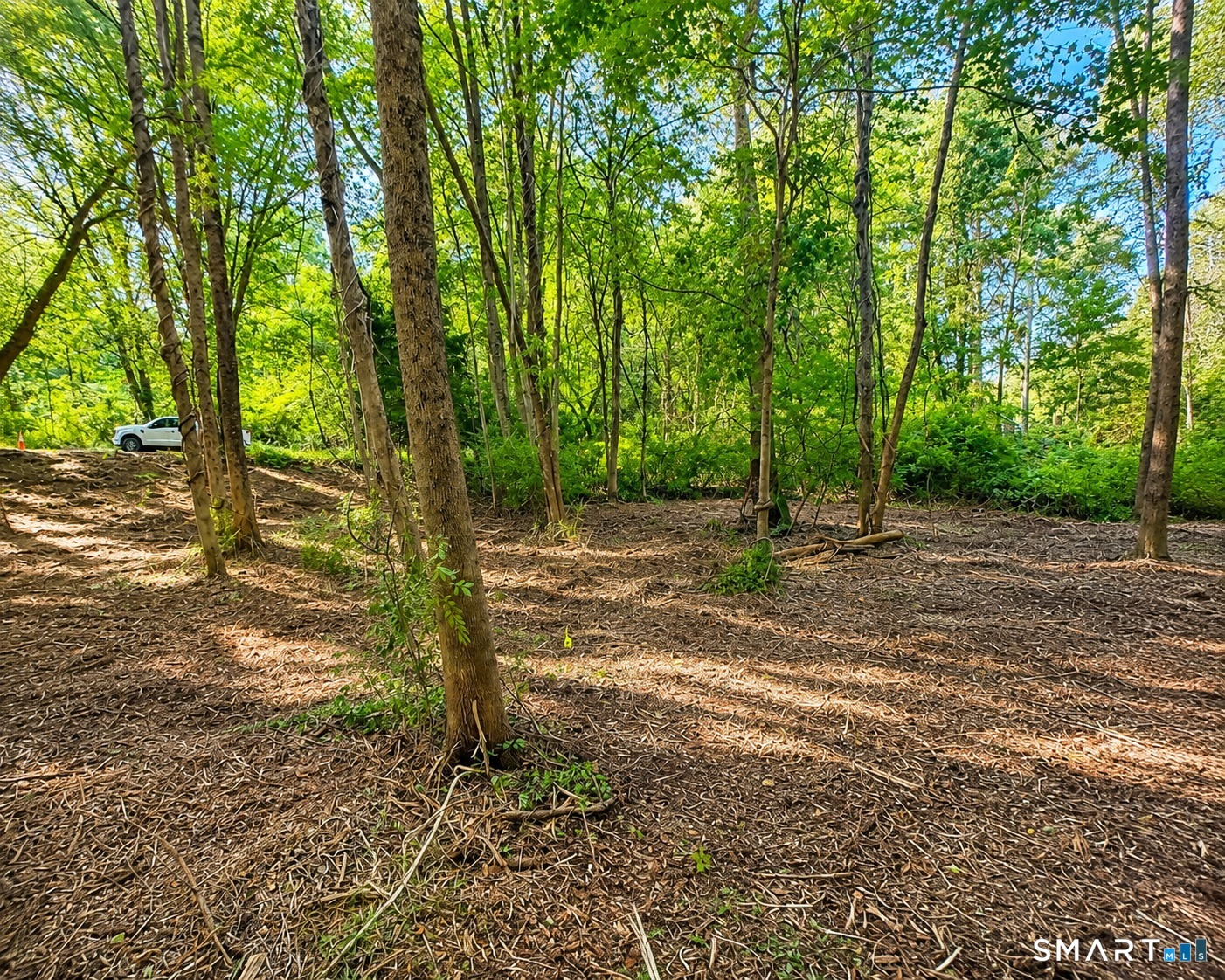 463 Mashamoquet Road Pomfret CT 06259