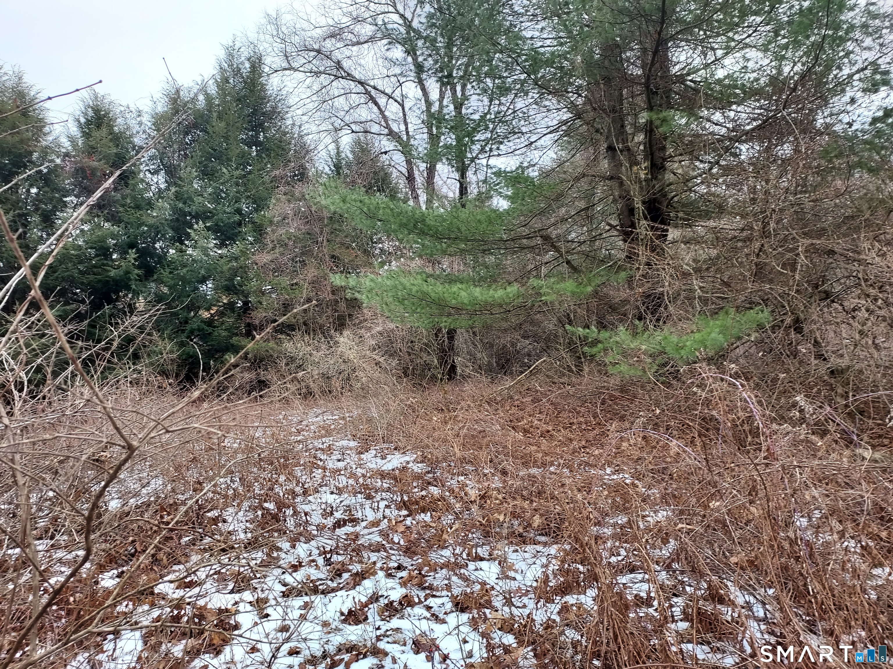 8 Times Farm Road Andover CT 06232