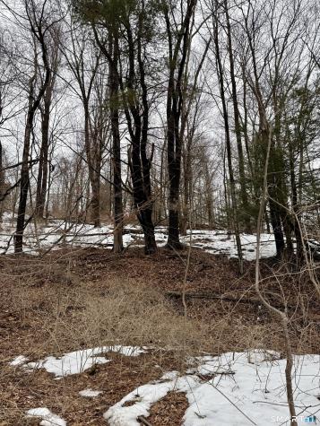 1092 Hickory Hill Road Thomaston CT 06787