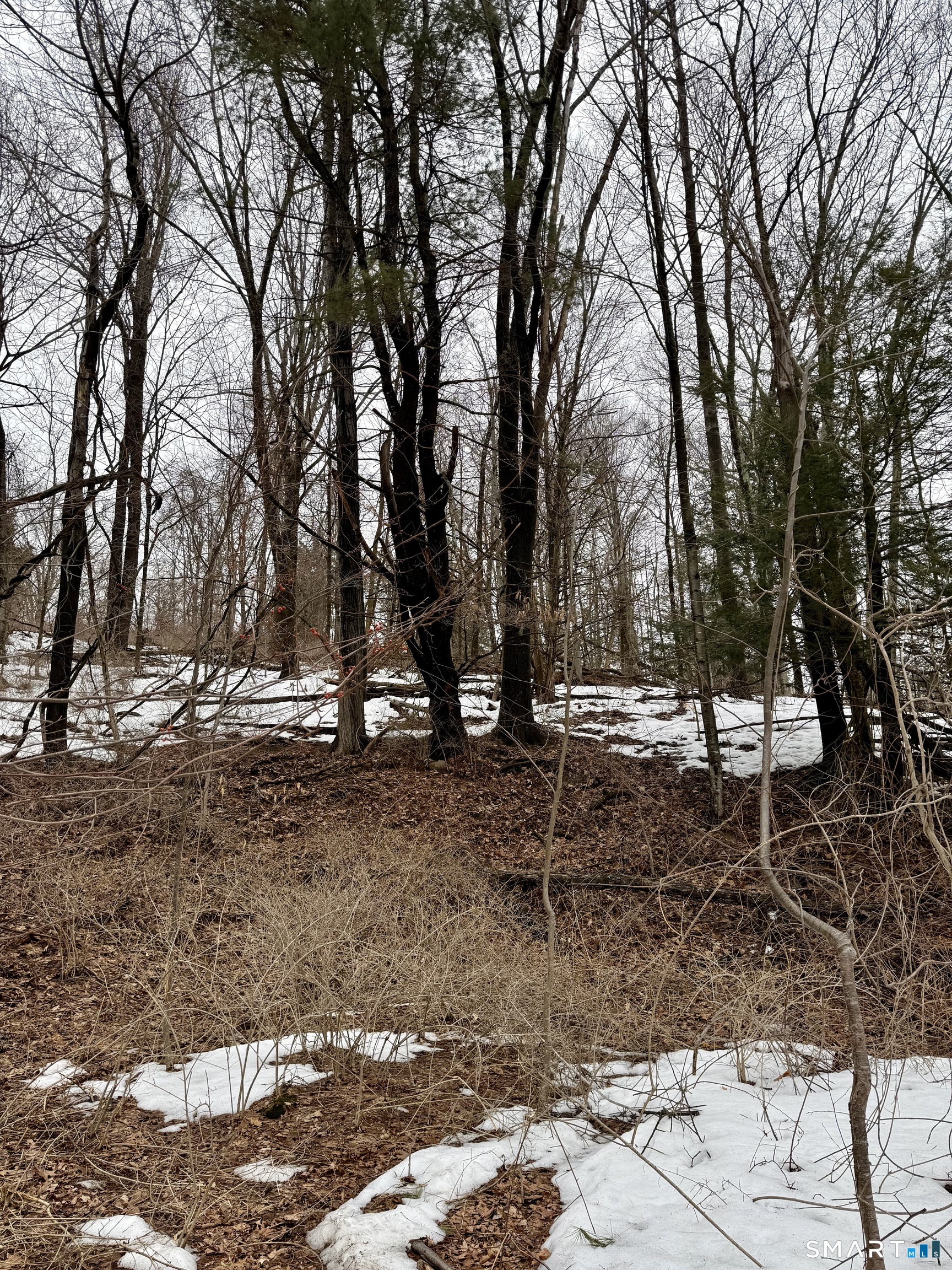 1092 Hickory Hill Road Thomaston CT 06787