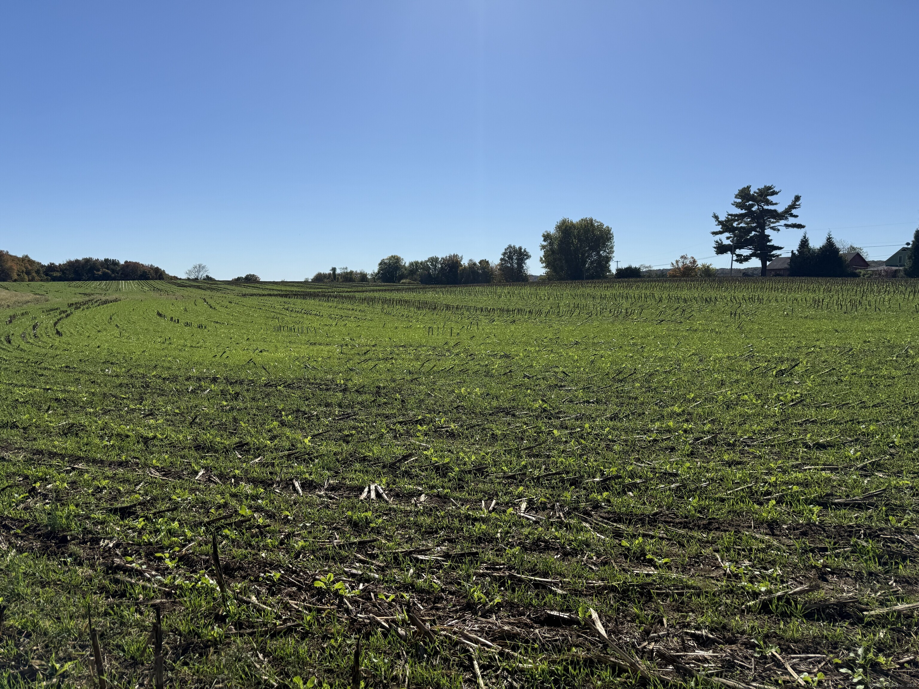 20 Holton Road Franklin CT 06254