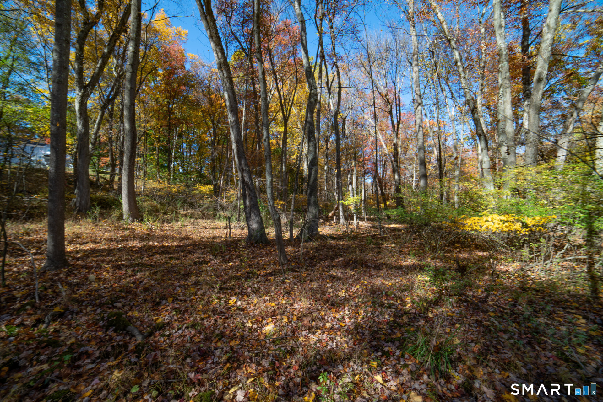 6 Fox Run Lane Westport CT 06880
