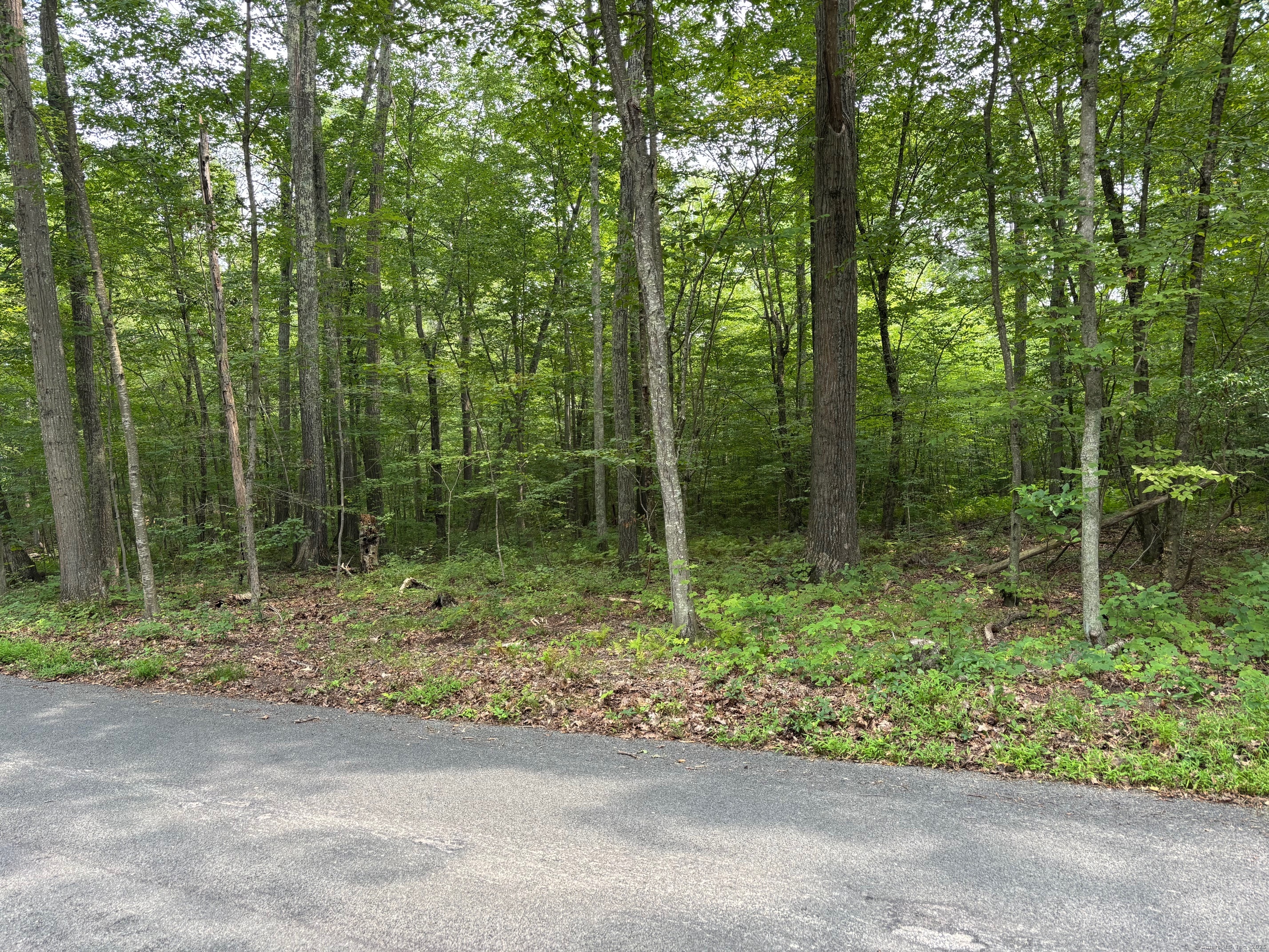 Wheeling Road Andover CT 06232