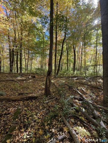 Joray Road Sharon CT 06069