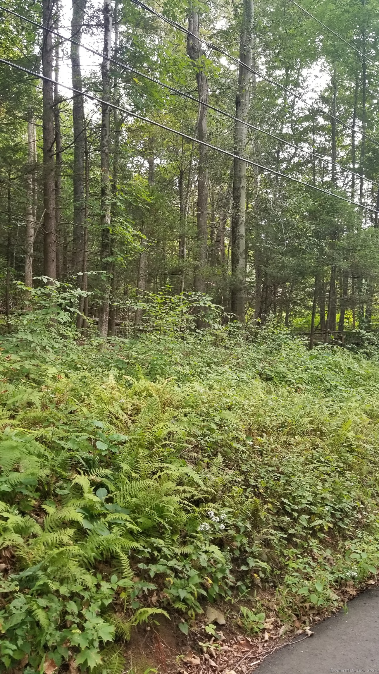 00 Stockburger Road East Haddam CT 06423