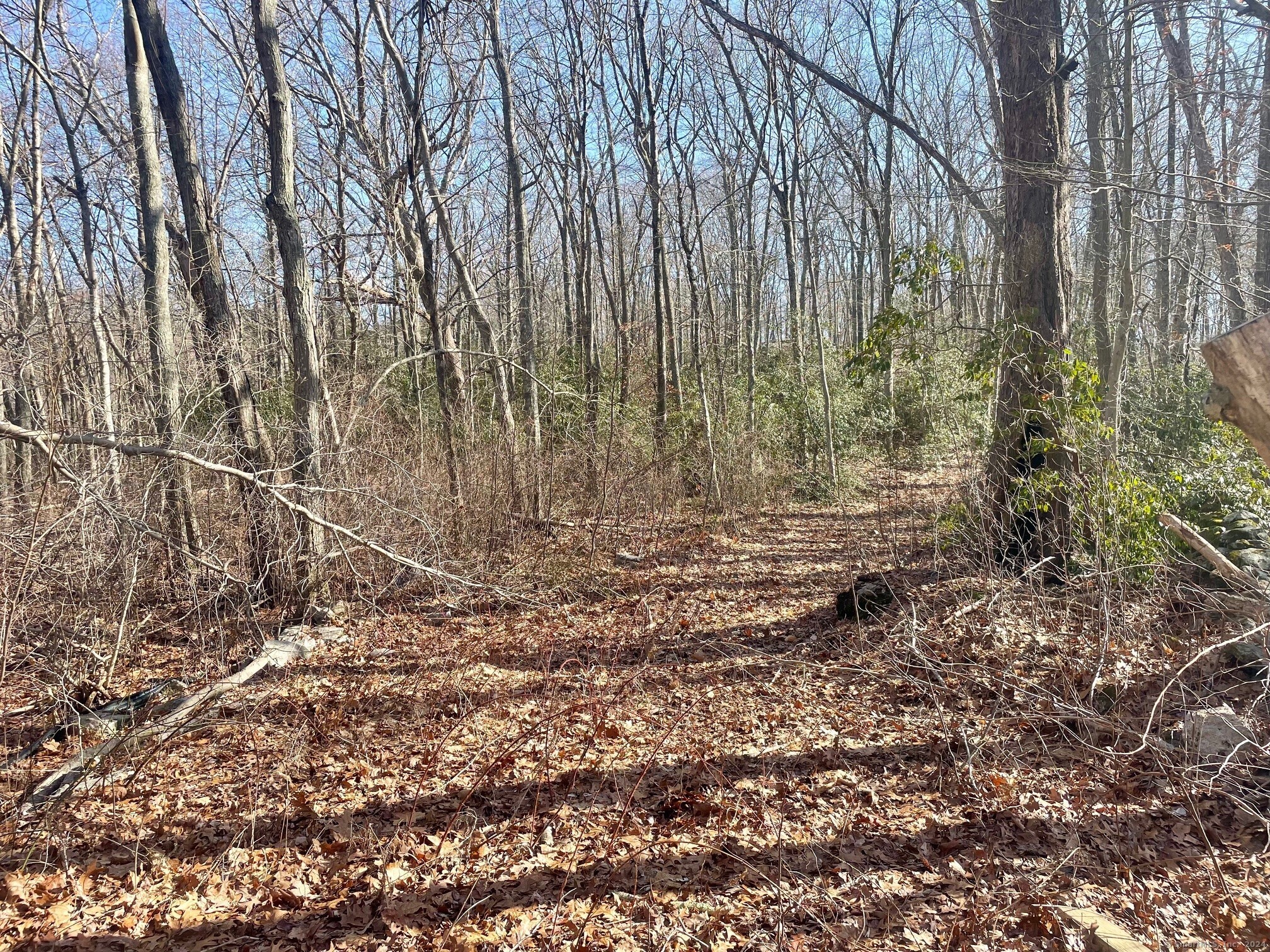 Fairy Dell Road Clinton CT 06413