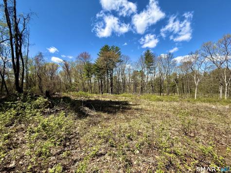 Clearview Avenue Harwinton CT 06791